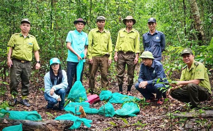Ban Quản lý Vườn Quốc gia Kon Ka Kinh tái thả các cá thể động vật quý, hiếm về với tự nhiên. Ảnh: Lê Vinh