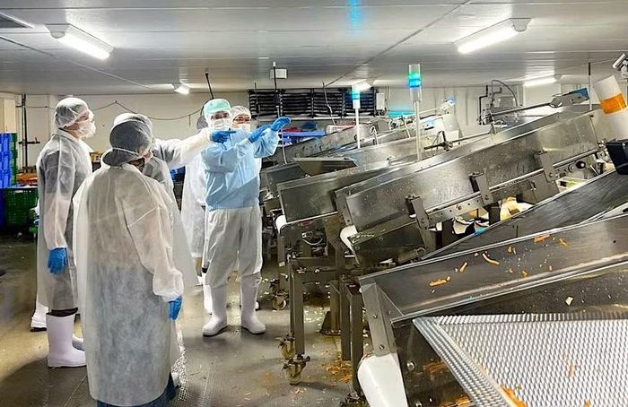  Đoàn nghe giới thiệu dây chuyền sơ chế rau củ. Ảnh: Vũ Tiến Anh 