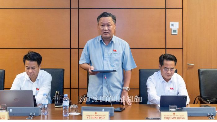 Đại biểu Vũ Minh Đạo phát biểu thảo luận.
