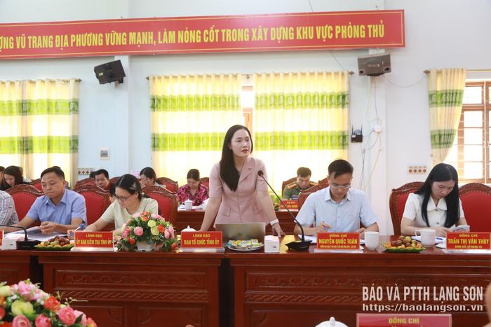 Lãnh đạo Ban Tổ chức Tỉnh ủy phát biểu ý kiến tại buổi làm việc