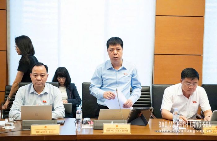 Đại biểu Phùng Đức Chính, Đoàn đại biểu Quốc hội tỉnh phát biểu thảo luận tại tổ