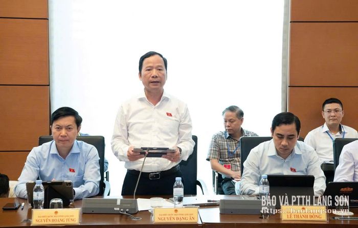 Đại biểu Nguyễn Đặng Ân, Phó Trưởng Đoàn đại biểu Quốc hội tỉnh phát biểu thảo luận tại tổ 