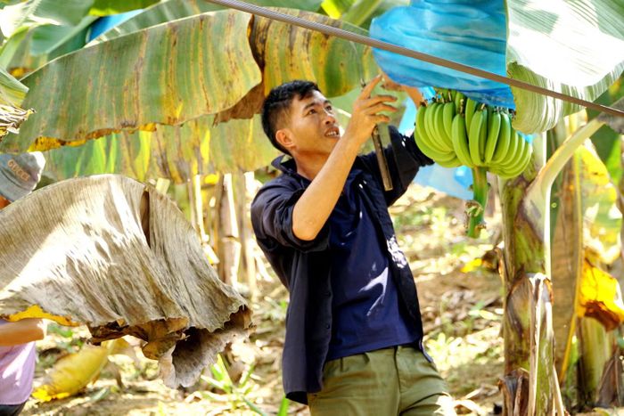 Người dân đã thay đổi nhận thức trong canh tác để bảo vệ sức khoẻ và môi trường đất, nước.