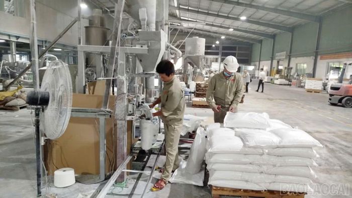 Dây chuyền sản xuất hạt nhựa phụ gia tại Công ty Cổ phần An Tiến Industries, Khu Công nghiệp Phía Nam.