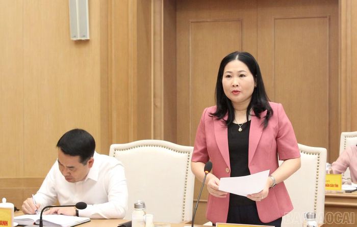 Phó Chủ tịch UBND tỉnh Vũ Thị Hiền Hạnh phát biểu tại cuộc họp.
