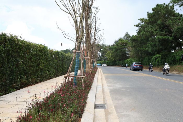Một đoạn đường Đinh Tiên Hoàng vừa được làm mới phần vỉa hè với thiết kế và trang trí hoa, cây xanh