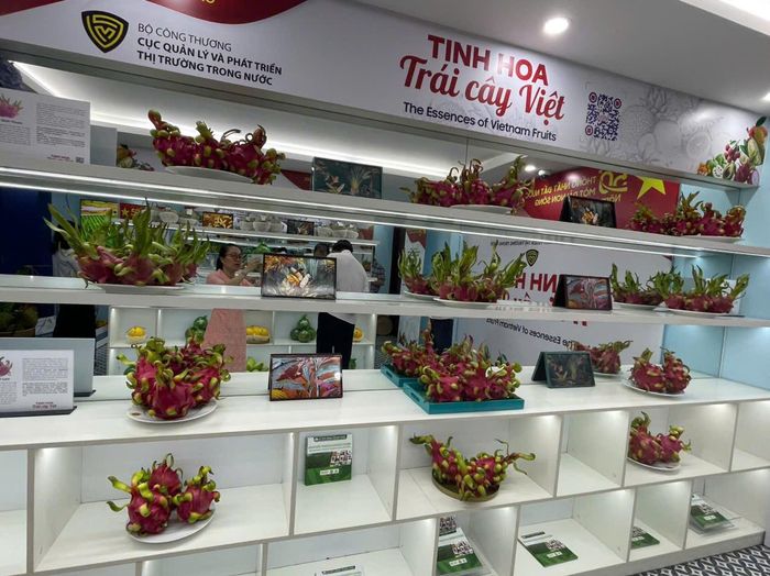 Lâm Đồng có khả năng cung cấp cho thị trường Hàn Quốc đa dạng sản phẩm, trong đó có rau quả đặc trưng, thế mạnh của địa phương như thanh long, sầu riêng...