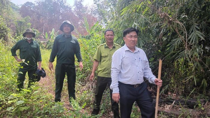 Phó Chủ tịch UBND xã La Dạ Nguyễn Khắc Hiếu dẫn đầu đoàn khảo sát hiện trạng rừng