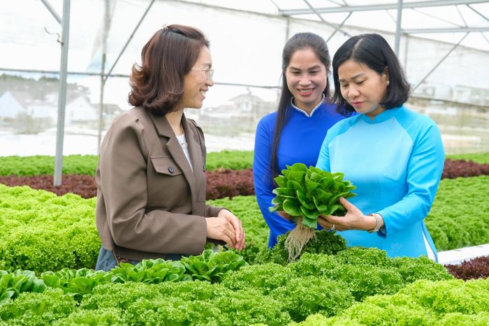 Phụ nữ Lâm Đồng ứng dụng công nghệ, khoa học, kỹ thuật vào sản xuất, tự tin làm giàu trên lĩnh vực kinh tế