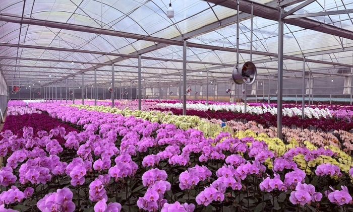Lâm Đồng tiếp tục xác định nông nghiệp công nghệ cao và nông nghiệp hữu cơ là ngành trụ cột với định hướng phát triển