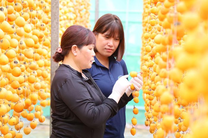 Hồng treo gió được sản xuất theo công nghệ Nhật Bản