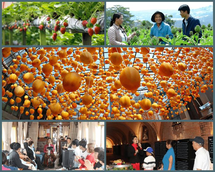 Từ những vườn nông sản đặc trưng đến các không gian văn hóa, nghệ thuật và trải nghiệm du lịch, Đà Lạt mang đến cho du khách những cảm nhận đa sắc màu về vùng đất cao nguyên