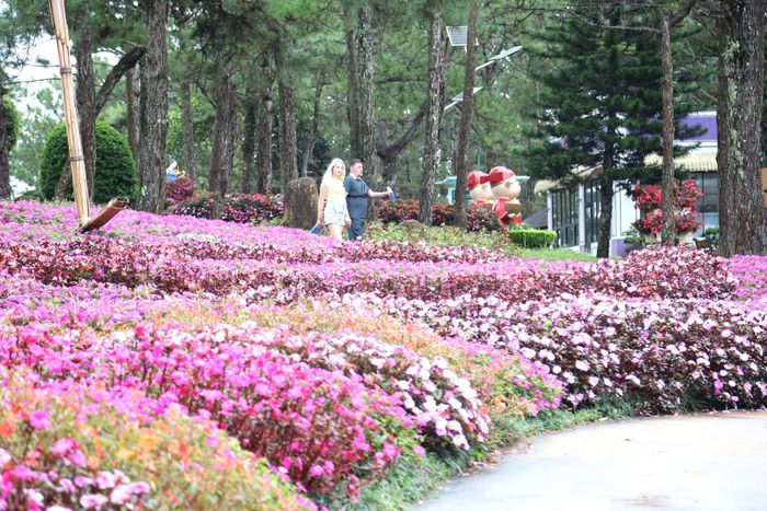 Du khách tham quan, thưởng thức hoa tại các điểm du lịch trên địa bàn tỉnh Lâm Đồng