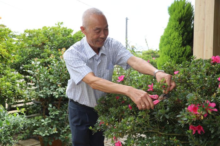 Các địa phương khẩn trương triển khai Chiến dịch Người người trồng hoa, nhà nhà trồng hoa, cây xanh chào mừng Festival Hoa Đà Lạt lần thứ XI - năm 2026