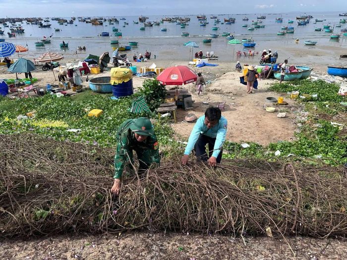 Đồn Biên phòng phường Mũi Né phối hợp dọn dẹp vệ sinh khu vực Làng chài Mũi Né