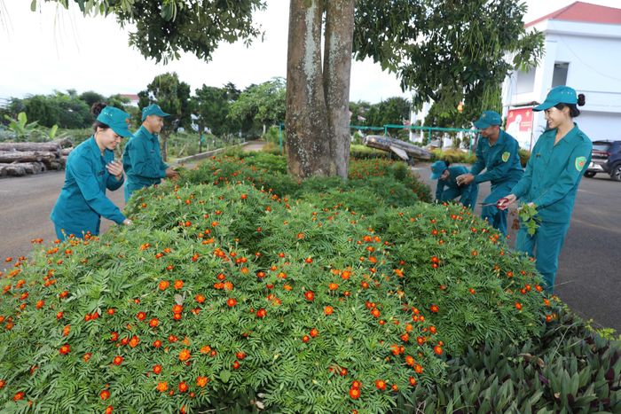 Lực lượng dân quân xã Nam Ban Lâm Hà chăm sóc cảnh quan đơn vị, thiết thực chào mừng lễ kỷ niệm, hưởng ứng phong trào "Người người trồng hoa, nhà nhà trồng hoa, cây xanh"