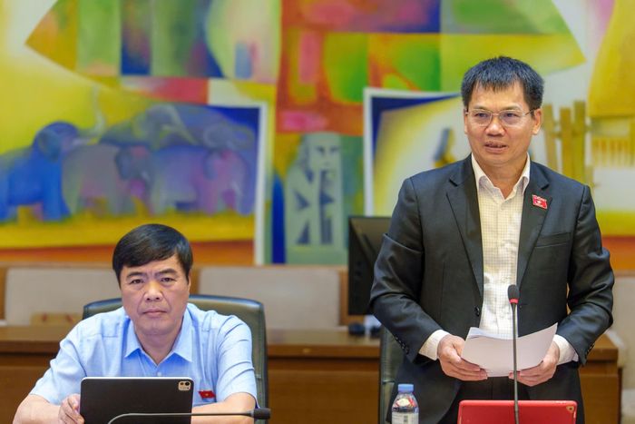 Đại biểu Dương Khắc Mai, Phó trưởng Đoàn chuyên trách Đoàn ĐBQH tỉnh Lâm Đồng phát biểu tại phiên thảo luận tổ