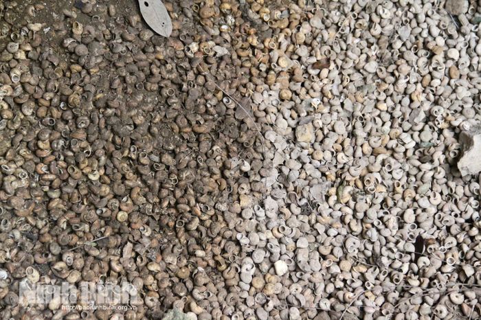 Vỏ ốc núi - dấu tích của người tiền sử từng sinh hoạt tại đây.