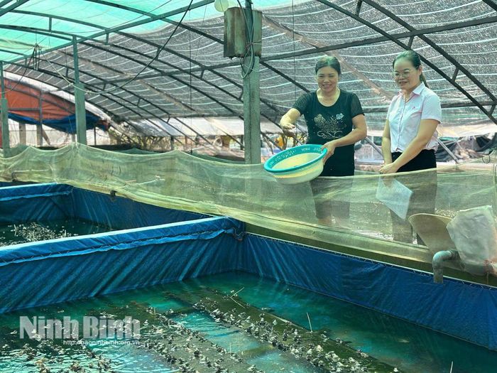 Từ nguồn vốn ưu đãi ủy thác qua tổ chức Hội, chị em phụ nữ có điều kiện mở rộng sản xuất, nuôi trồng thủy sản. Ảnh: Nguyễn Lựu