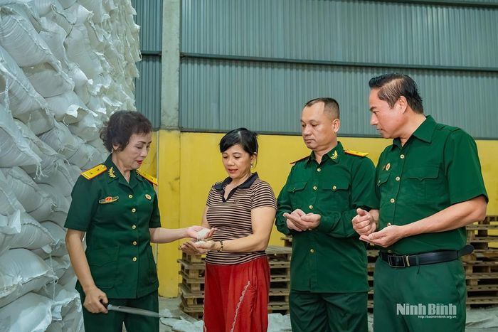 Nữ doanh nhân, cựu chiến binh Trần Thị Loan giúp vực lại hoạt động của Công ty Cổ phần Lương thực Hà Nam.