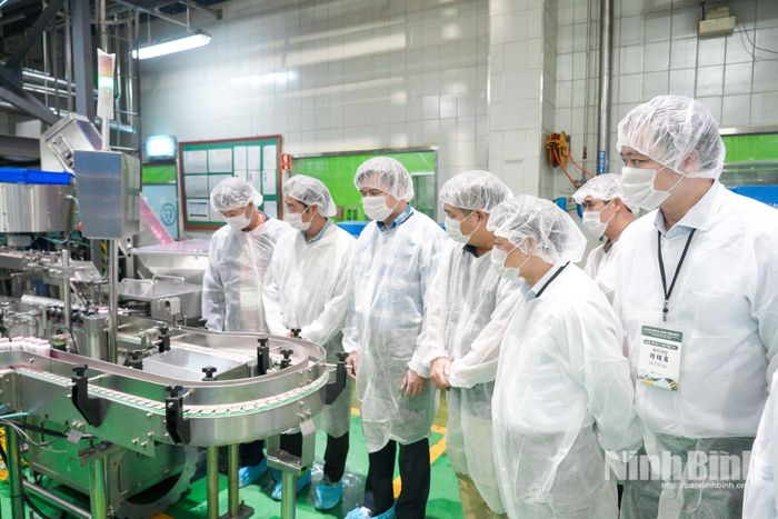 Đoàn công tác tìm hiểu về dây chuyền chế biến hiện đại tại Nhà máy Yonsei Dairy (Hàn Quốc).