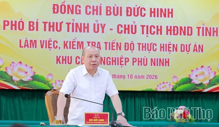 Đồng chí Phó Bí thư Tỉnh ủy, Chủ tịch HĐND tỉnh Bùi Đức Hinh phát biểu chỉ đạo buổi làm việc.