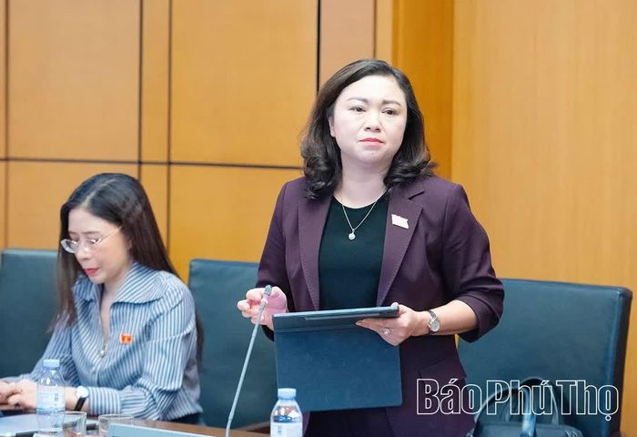 Đại biểu Quốc hội tỉnh Phú Thọ Đặng Bích Ngọc thảo luận ở Tổ.