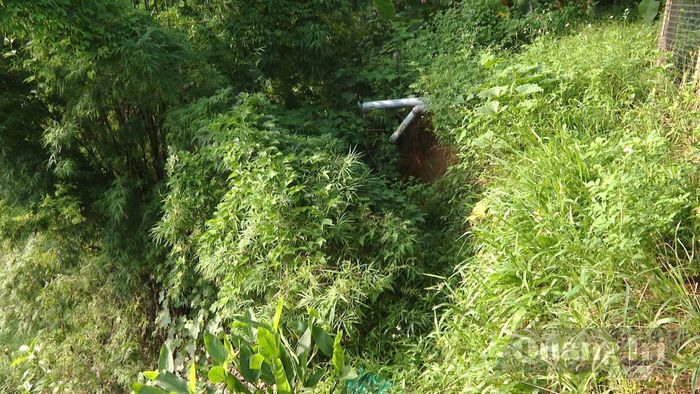 Vị trí sạt lở tiến sát nhà anh Trịnh Văn Bình - Ảnh: C.H