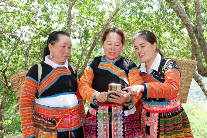 Phụ nữ Tà Xùa ứng dụng Công nghệ thông tin trong công tác hội.