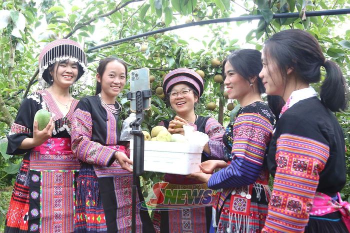 Hội viên phụ nữ bản Lao Khô 1, xã Phiêng Khoài quảng bá nông sản trên nền tảng số.