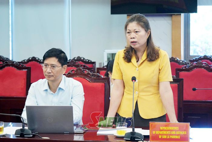 Lãnh đạo Sở Tài chính phát biểu tại cuộc làm việc.