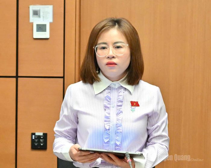 Đồng chí Nguyễn Việt Hà, Giám đốc Ngân hàng Nông nghiệp và phát triển nông thôn Việt Nam Chi nhánh Tuyên Quang phát biểu thảo luận.