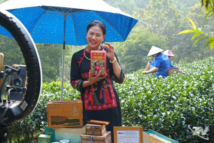 Chị Trần Thị Tuyết, Giám đốc HTX Chè Tuyết Hương, quảng bá vẻ đẹp vùng chè quê hương kết hợp livestream giới thiệu, tiêu thụ nông sản Thái Nguyên trên các nền tảng số.