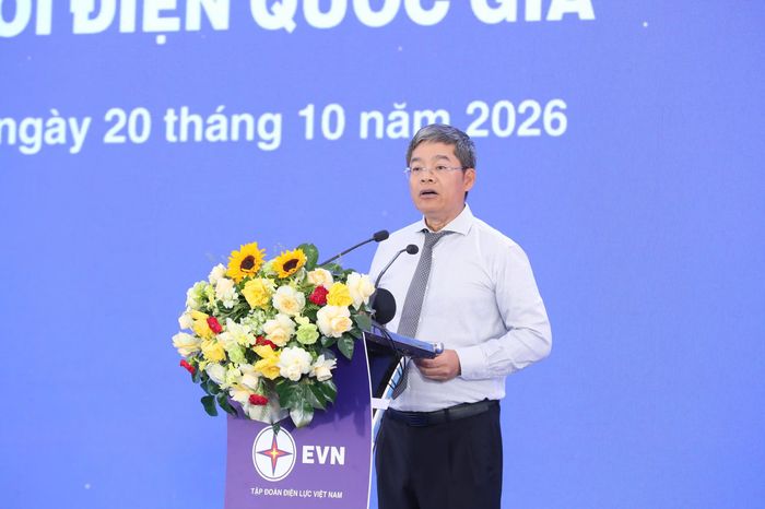 Ông Nguyễn Tài Anh, Phó tổng giám đốc EVN.