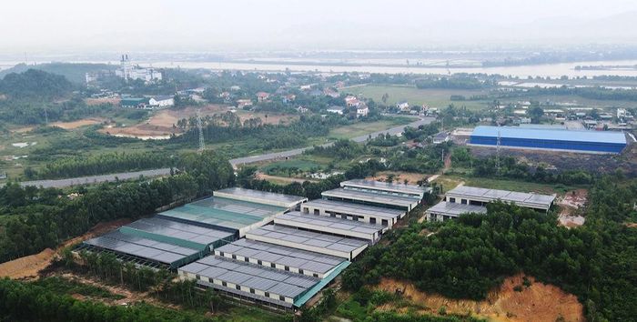 Dưới điện mặt trời là trang trại nuôi gà của Công ty Tổng hợp Quảng Trường, cách khu dân cư khoảng 200m.