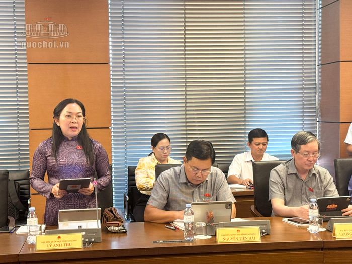 Đại biểu Lý Anh Thư (Đoàn An Giang). Ảnh: Media Quốc hội.