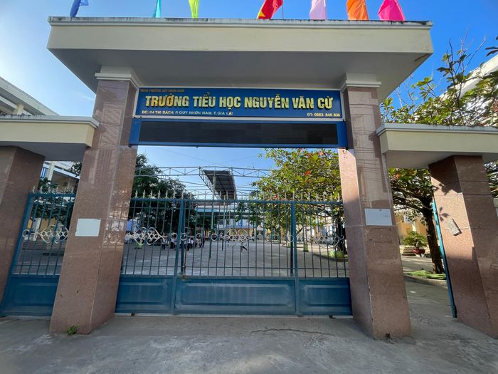 Trường Tiểu học Nguyễn Văn Cừ (cũ) sáp nhập với Trường Tiểu học Kim Đồng (cũ) và được lấy tên là Trường Tiểu học Kim Đồng sau sáp nhập.