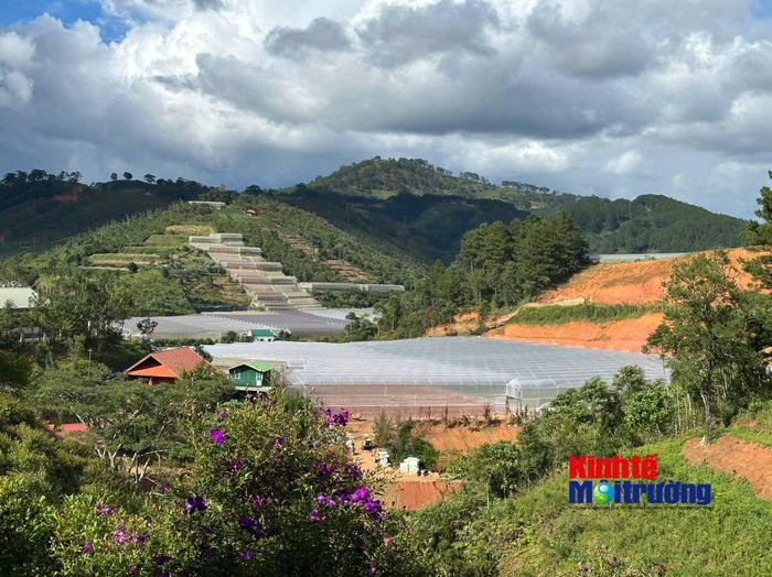 Việc áp dụng nguyên tắc "6 rõ" giúp phân định minh bạch trách nhiệm bảo vệ từng lô, khoảnh rừng, góp phần nâng cao hiệu quả quản trị tài nguyên sinh thái tại Lâm Đồng. (Ảnh: C.H)