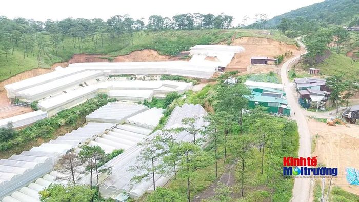 Hoạt động kiểm tra thực địa nhằm phân định rõ trách nhiệm quản lý từng lô, khoảnh rừng theo nguyên tắc "6 rõ" (Ảnh: C.H)