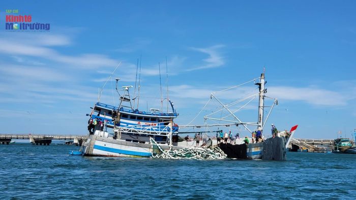 An Giang siết kỷ luật chống khai thác IUU: 30 ngày cao điểm, trách nhiệm không thể trì hoãn.
