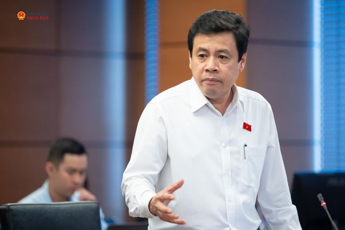 ĐBQH Trần Anh Tuấn (TP. Hồ Chí Minh) phát biểu
