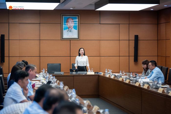 Quang cảnh phiên thảo luận tại Tổ 2, Đoàn ĐBQH TP. Hồ Chí Minh.