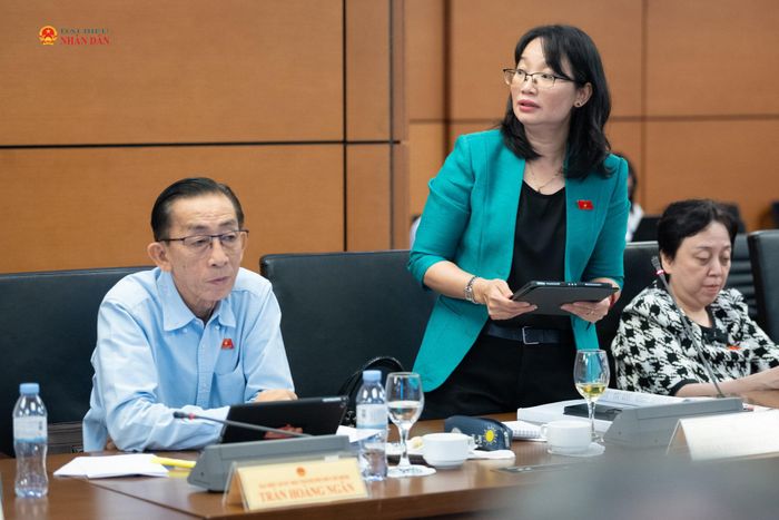 ĐBQH Trần Thị Diệu Thúy (TP. Hồ Chí Minh) phát biểu