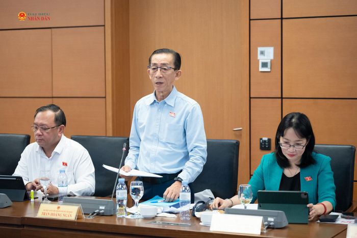 ĐBQH Trần Hoàng Ngân (TP. Hồ Chí Minh) phát biểu