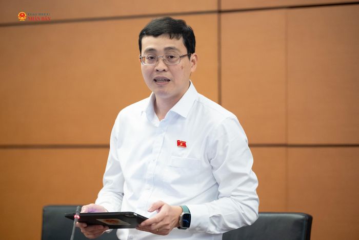 ĐBQH Đỗ Đức Hiển (TP. Hồ Chí Minh) phát biểu