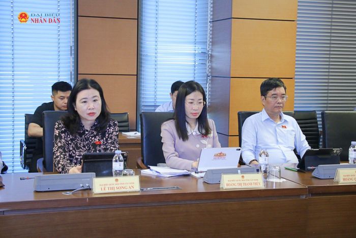 Các đại biểu tham dự phiên thảo luận tổ. Ảnh: Đắc Trường