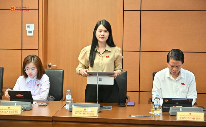 ĐBQH Vương Thị Hương (Tuyên Quang) phát biểu tại thảo luận
