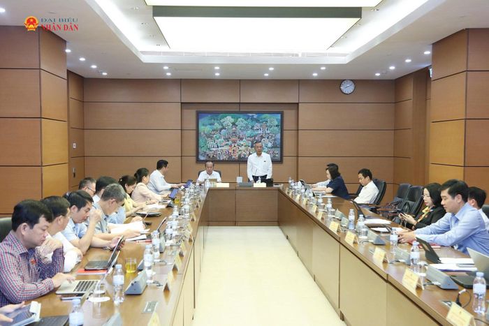 Toàn cảnh thảo luận tổ. Ảnh: An Nhiên