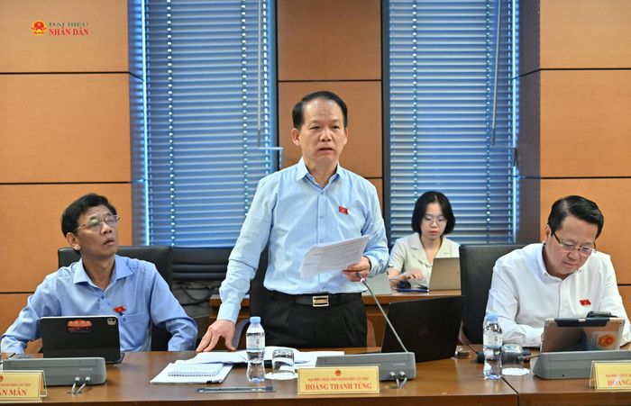 ĐBQH Hoàng Thanh Tùng (TP. Cần Thơ) phát biểu. Ảnh: Quang Khánh
