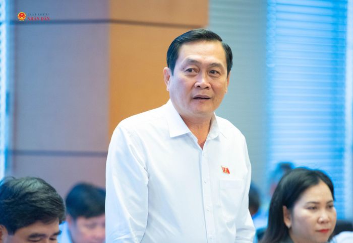 ĐBQH Hồ Việt Triều (Cà Mau) phát biểu. Ảnh: Xuân Quý